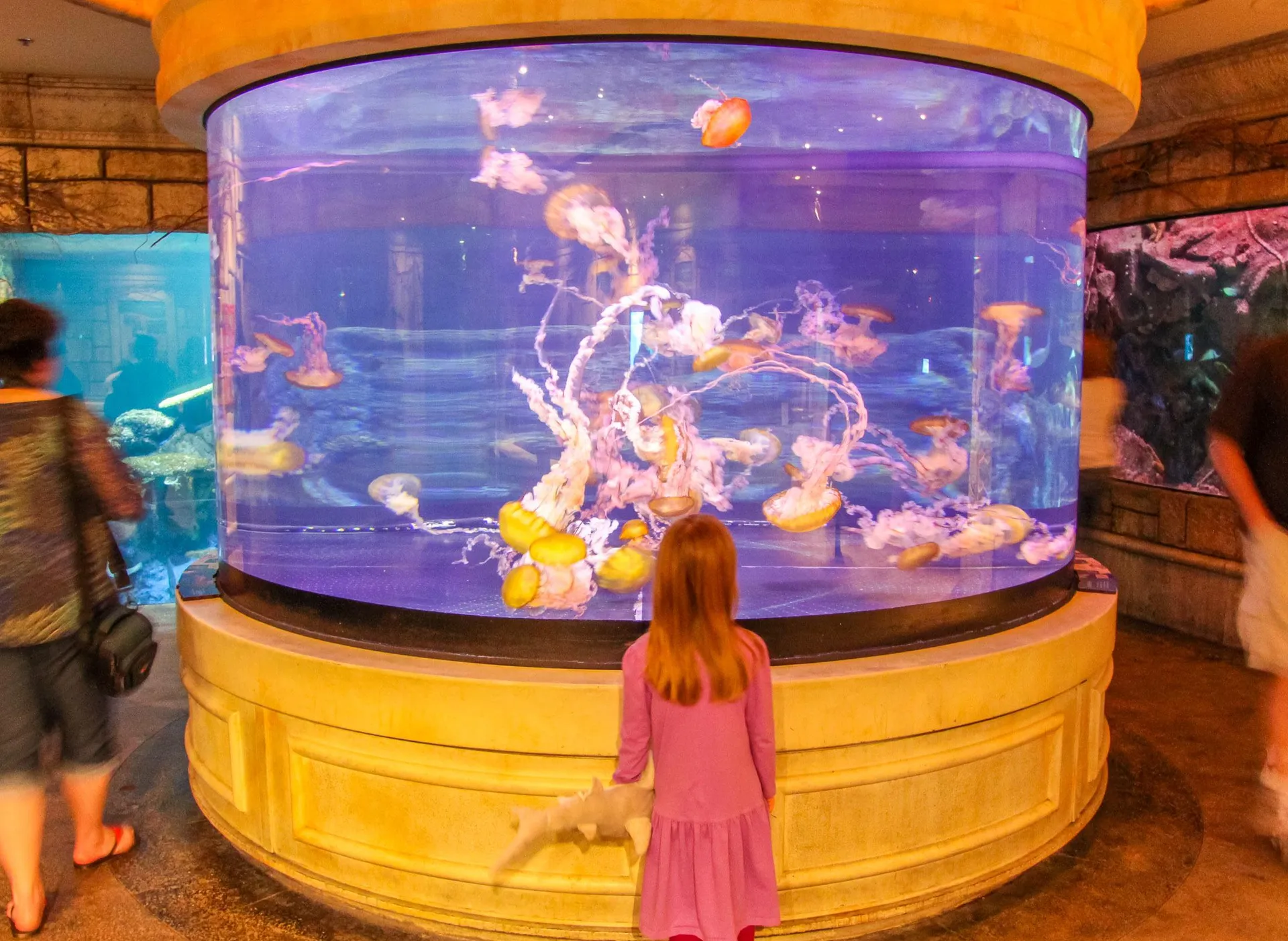 My daughter stands in front of the jellyfish tank at The Shark Reef Aquarium, one of the fun things to do in las vegas with kids.