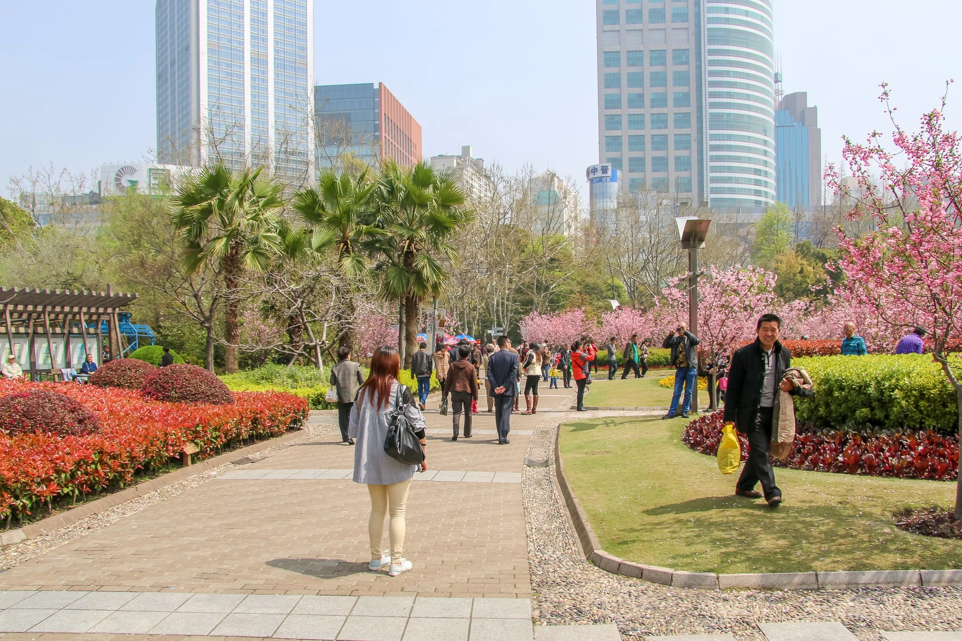 what to do in shanghai with kids