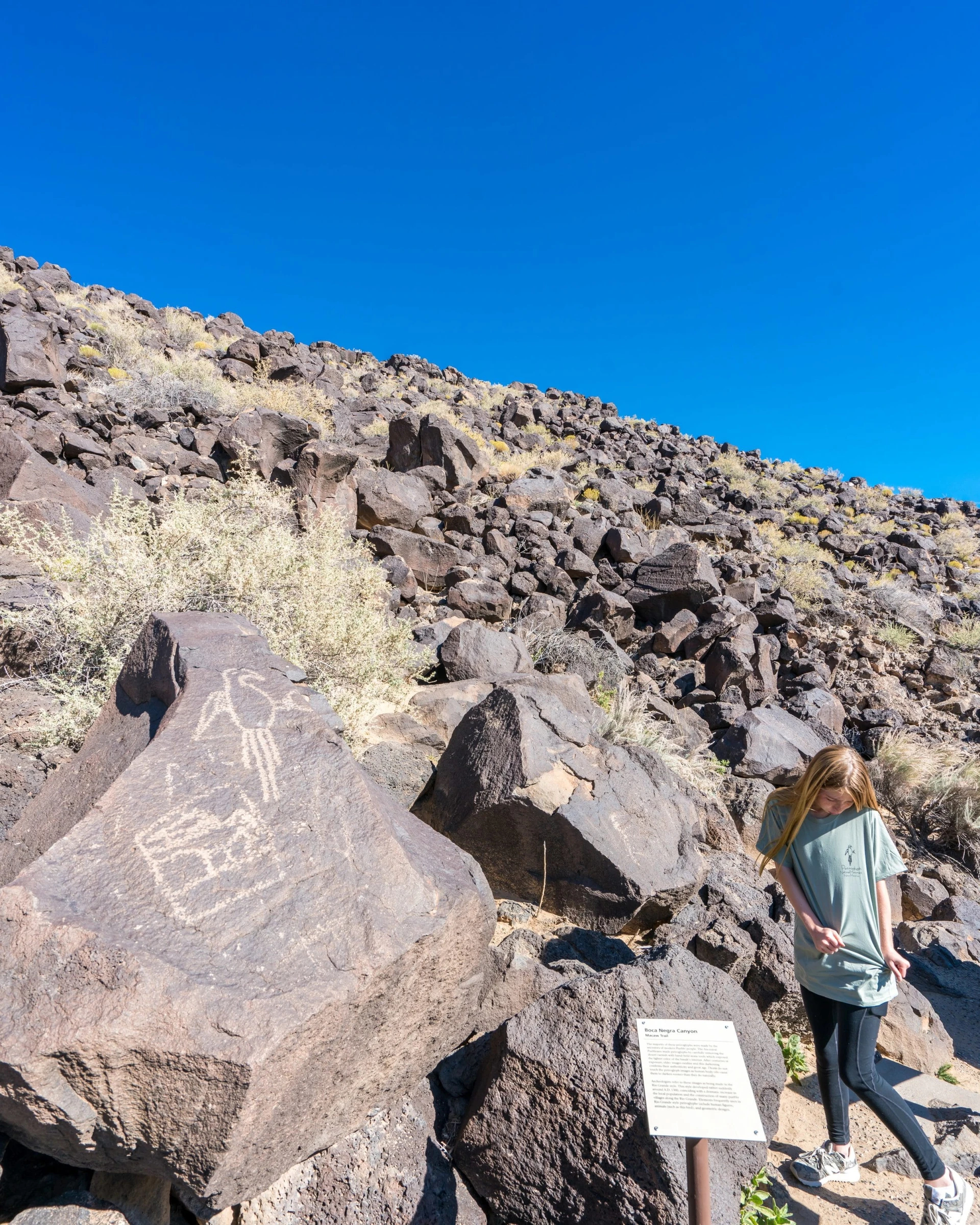 Albuquerque things to do