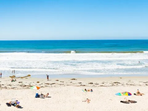 People enjoy sunbathing and surfing on a sunny day - guide to the best San Diego beaches