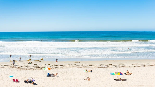 People enjoy sunbathing and surfing on a sunny day - guide to the best San Diego beaches