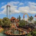 Knott's Berry Farm Discount Tickets