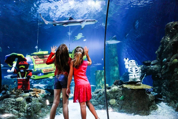 Kids love SEA LIFE Aquarium at LEGOLAND California Resort.
