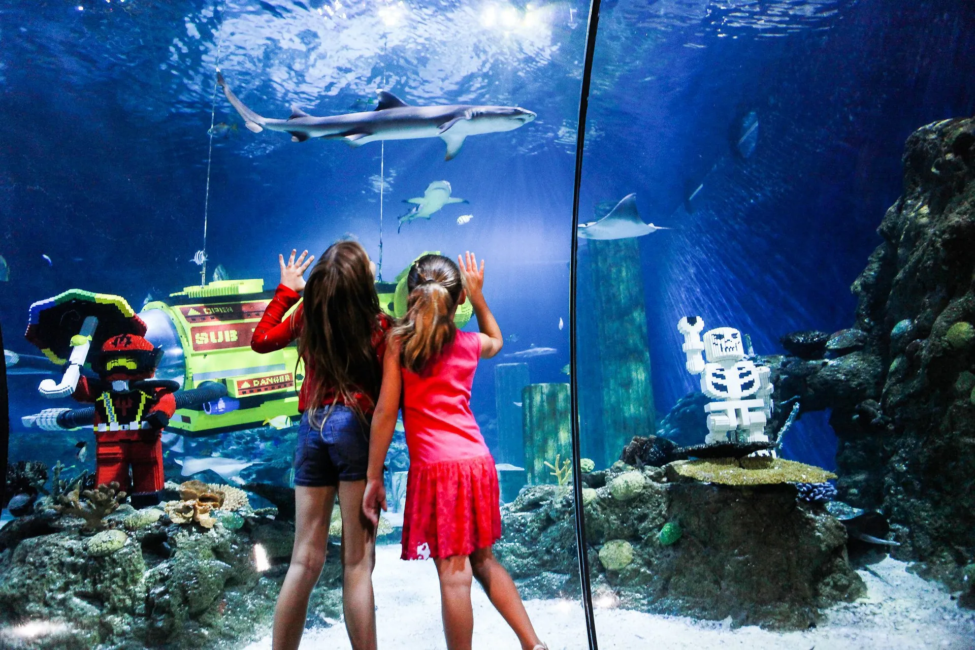 Kids love SEA LIFE Aquarium at LEGOLAND California Resort.