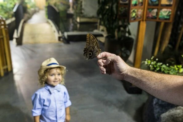 The Audubon Butterfly Garden and Insectarium is one of the best things to do in New Orleans.