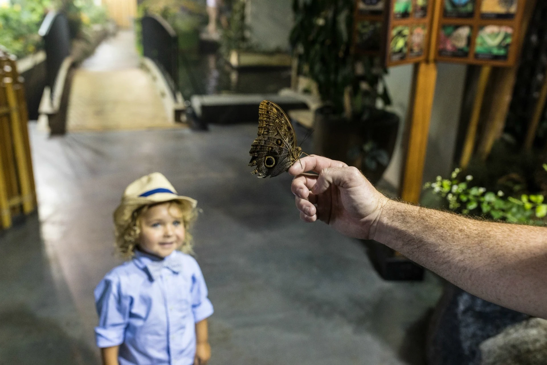 The Audubon Butterfly Garden and Insectarium is one of the best things to do in New Orleans.