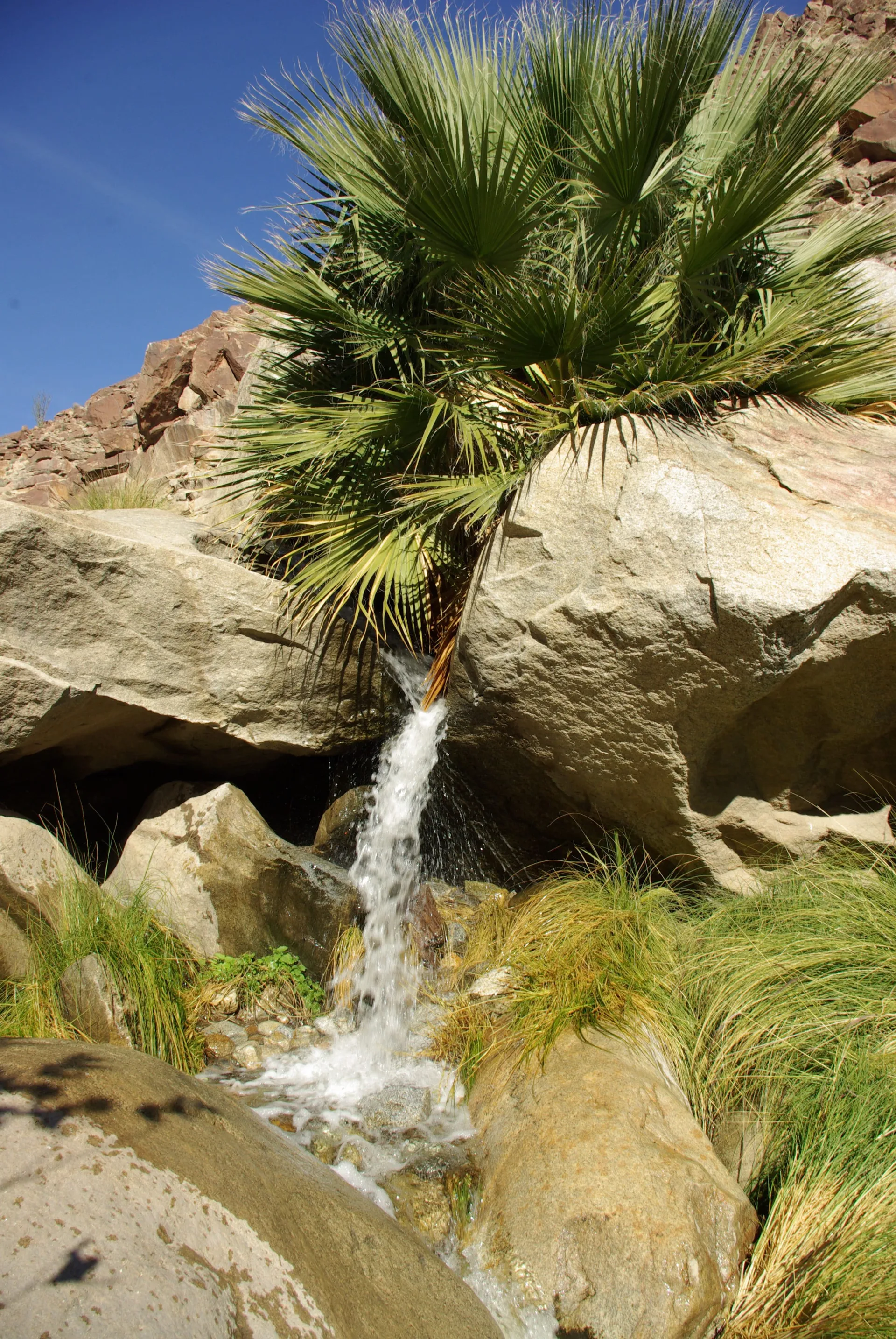 Water flows between rocks at Anza-Borrego Desert State Park.