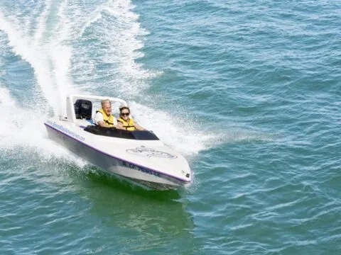 san diego bay cruises