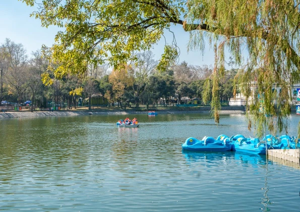 Ride Paddle Boats on Chapultepec Lake in Mexico City with kids, inside Bosque de Chapultepec.