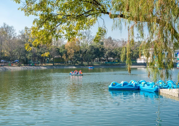 Ride Paddle Boats on Chapultepec Lake in Mexico City