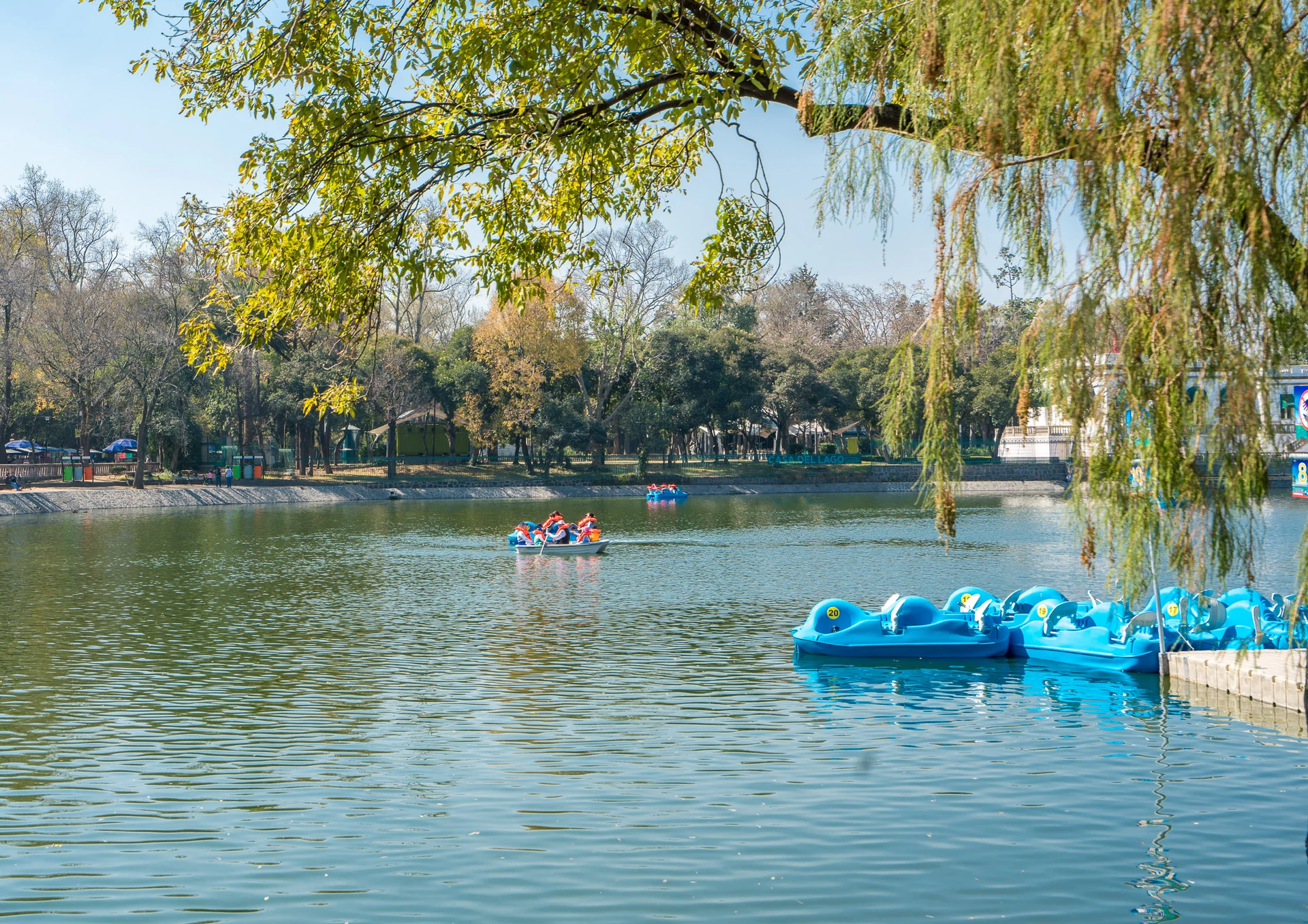 Ride Paddle Boats on Chapultepec Lake in Mexico City