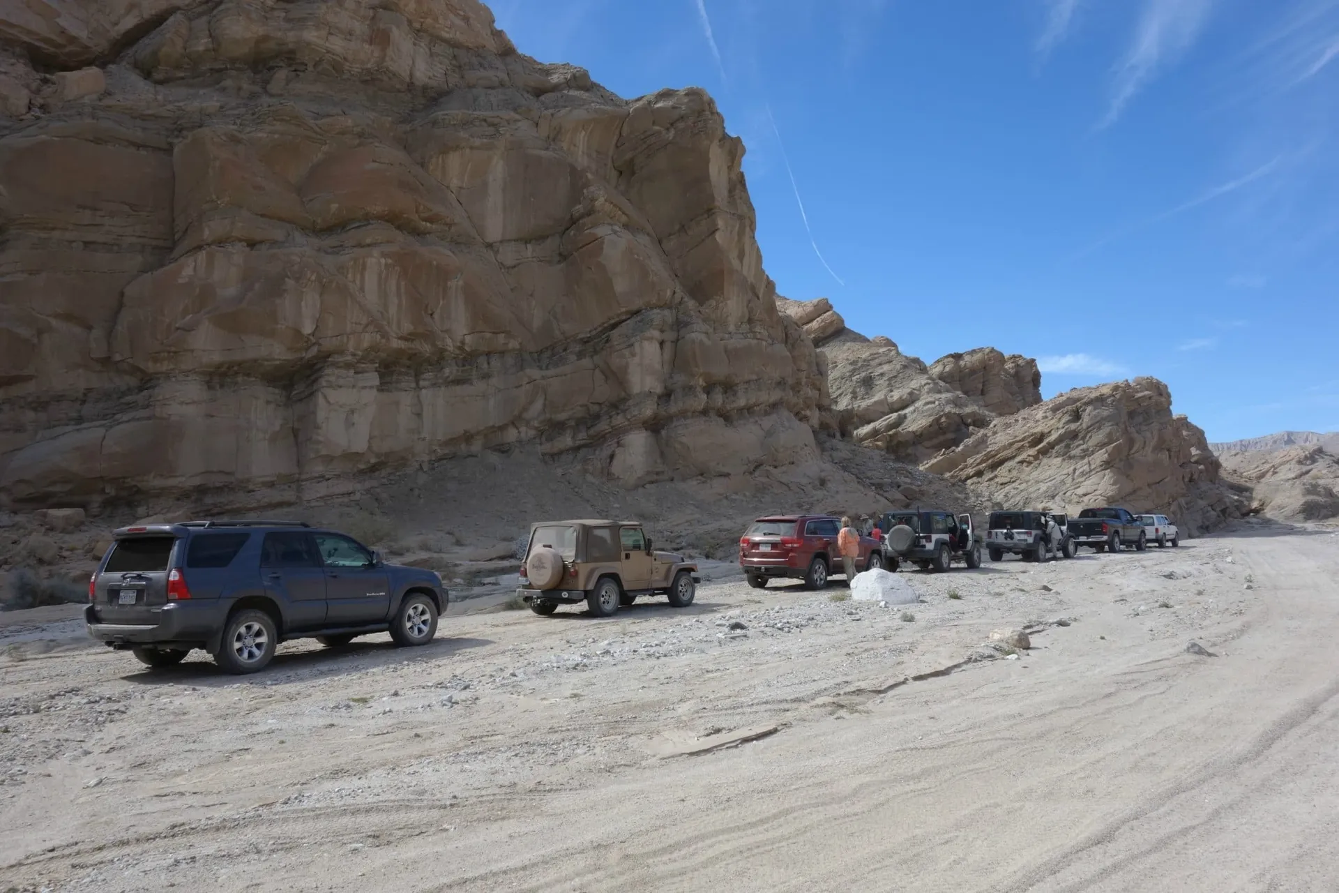A line up of cars at Fish Creek in Anza-Borrego Desert State Park.