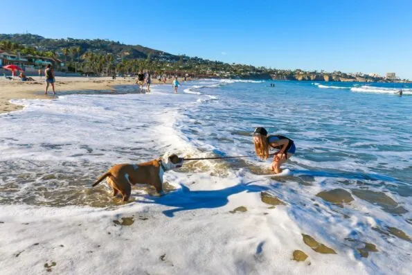La Jolla Shores Beach