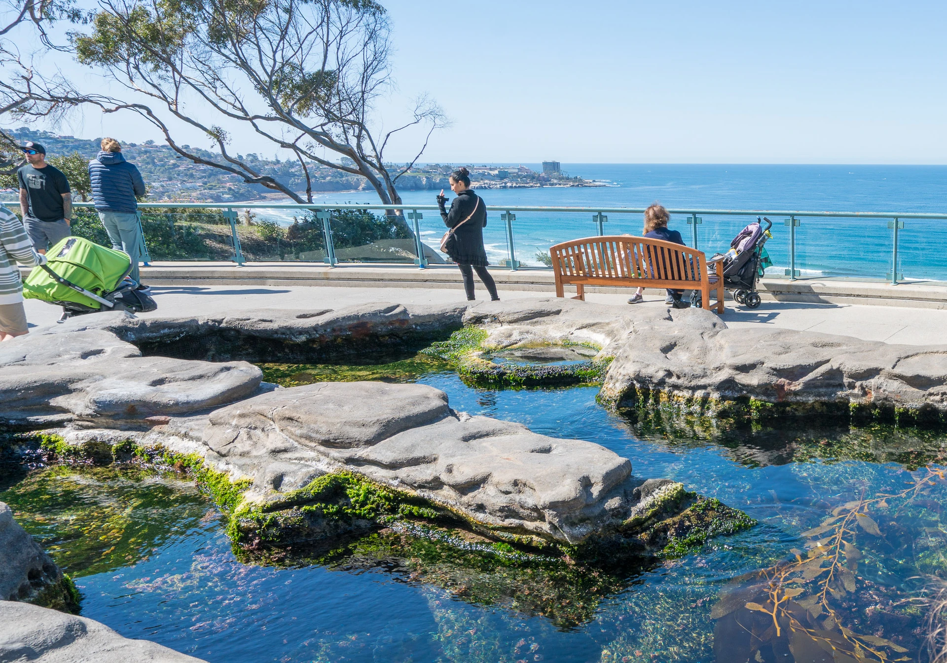 A touch pool with a view of the ocean at Tide Pool Plaza.