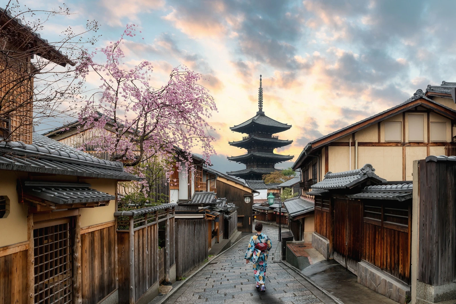 Spring flower destinations: Kyoto sakura season