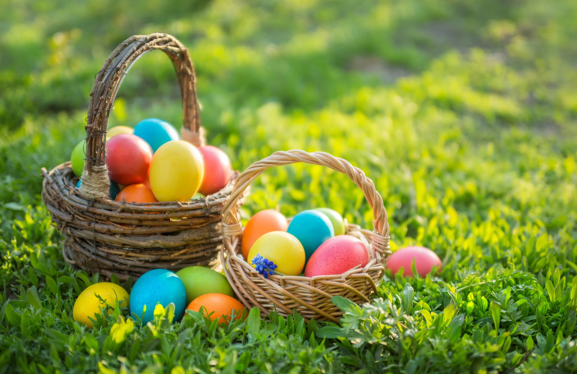 Things to do on Easter in San Diego including brunch, egg hunts and more.