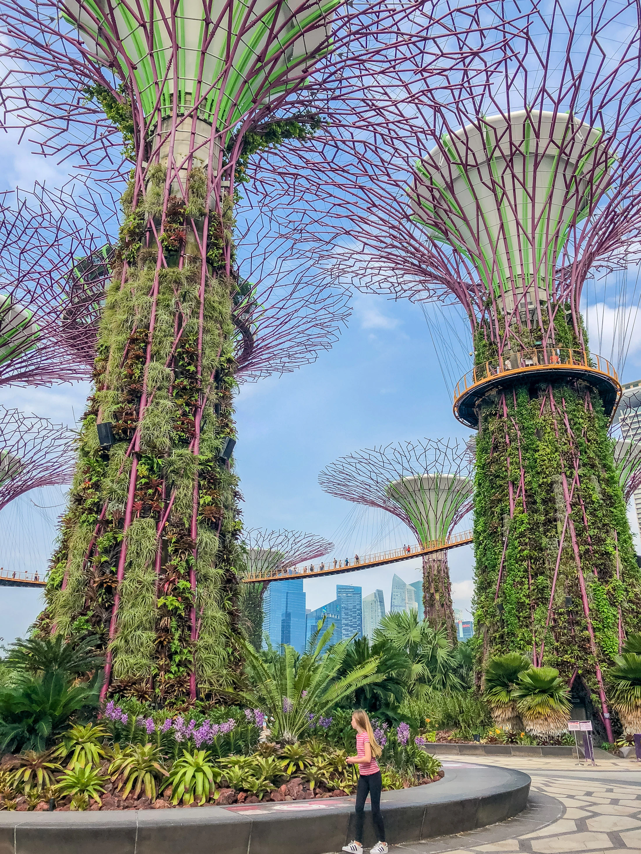 iPhone photo of Singapore's Super Tree Garden
