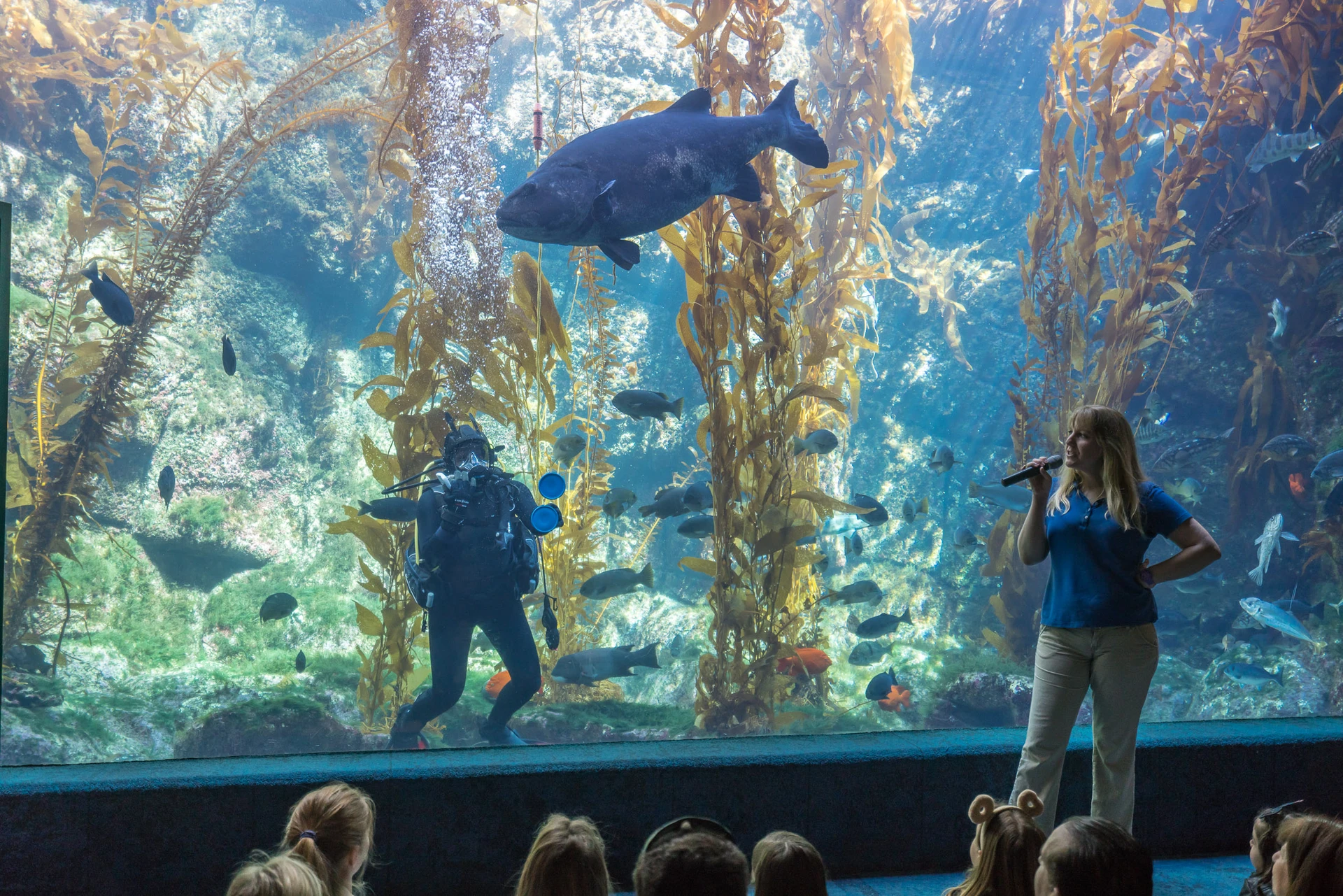 A staff member gives a talk in front of the Giant Kelp Forest tank.