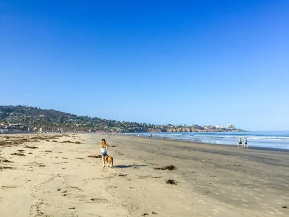 My daughter walks our dog on La Jolla Shores beach in the morning on a sunny day &mdash; what I think is the best beach for kids in San Diego.