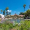 Free things to do in San Diego include Balboa Park's Botanical Building.