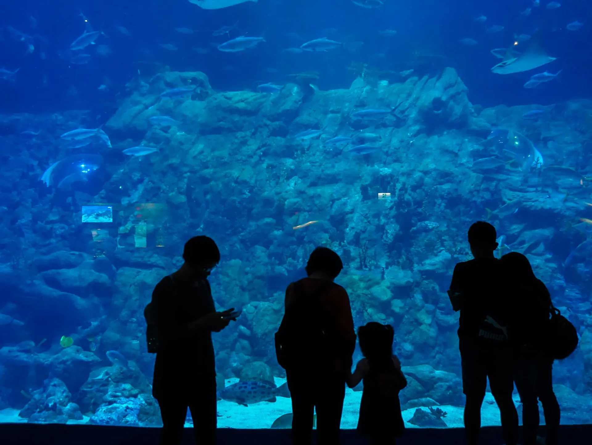 Grand Aquarium at Ocean Park Hong Kong
