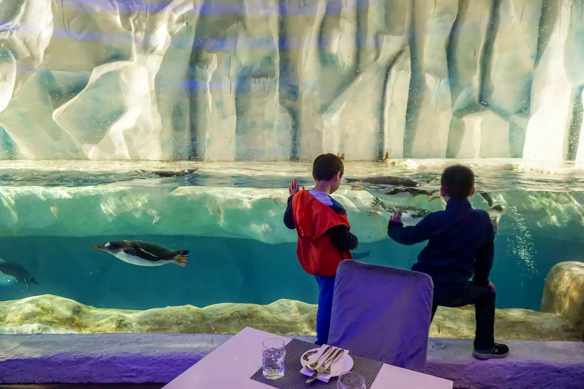 Tuxedos restaurant with penguins at Ocean Park Hong Kong