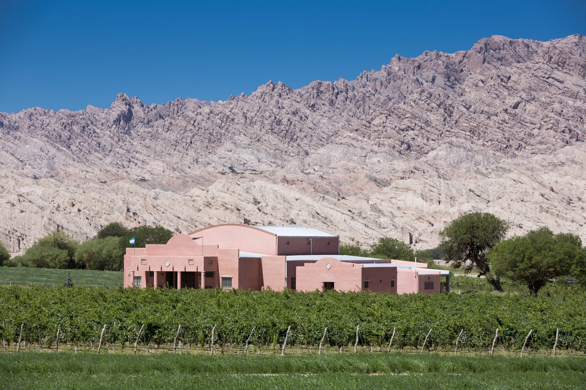 Salta winery in the Calchaqu&iacute; Valleys