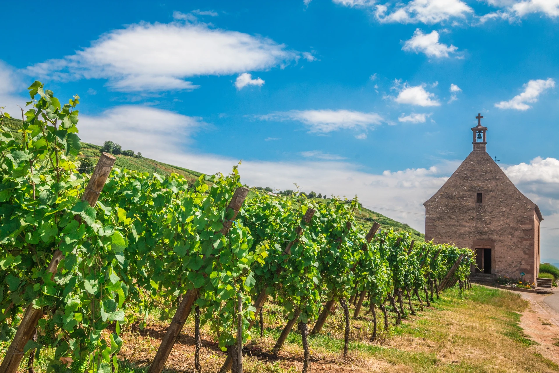 French wine regions: Alsace France Wine Route