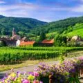Picturesque countryside of Alsace region- famous "vine route" France