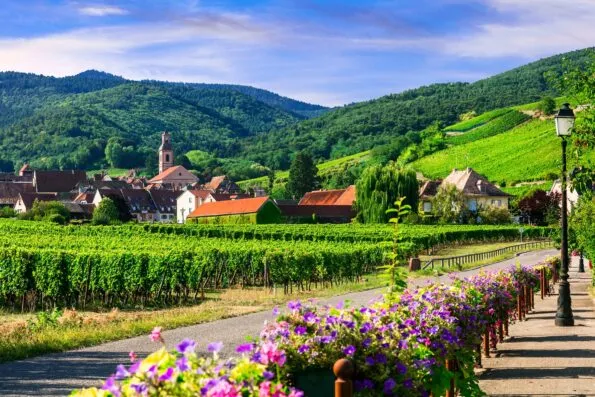Picturesque countryside of Alsace region- famous "vine route" France