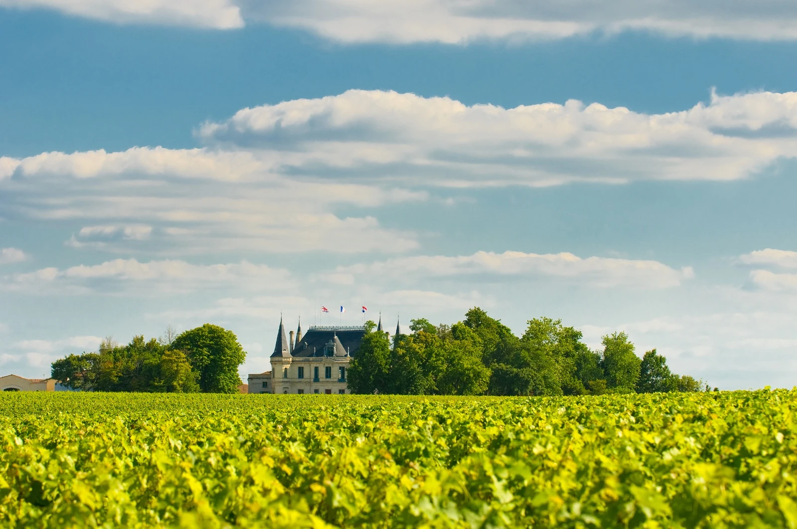 Chateau and vineyard in Margaux Bordeaux France