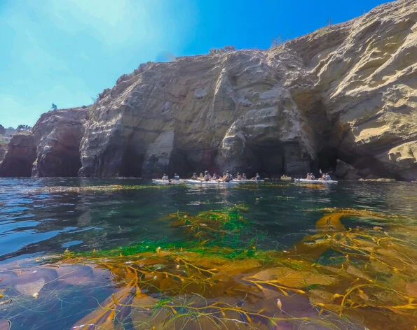 A kayak tour paddles in front of the La Jolla sea caves.