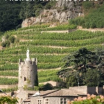 Sip some of the most prestigious and delicious wines in the world in these four French wine regions accessible on Air France via Paris.