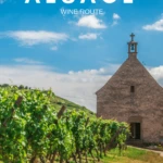 French wine regions: Explore the Alsace wine route