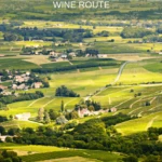French wine regions: Beaujolais in the Rhone Valley