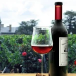 French wine regions: Explore Bordeaux, Alsace, Beaujolais and Rhone Valley wine routes.