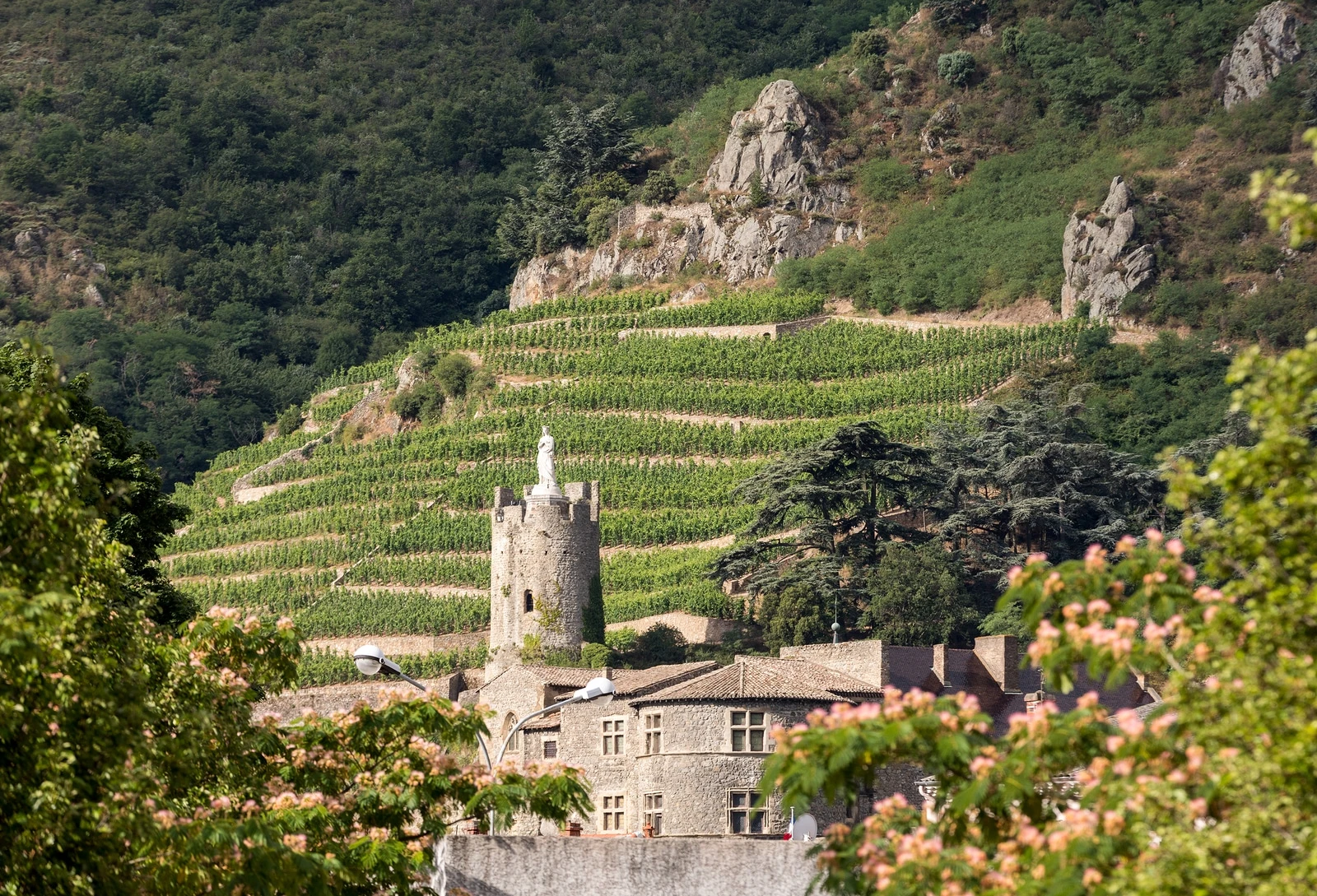 French wine regions: Go wine tasting in the Rhone Valley, France
