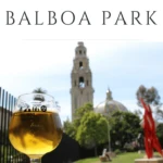 Best Balboa Park restaurants