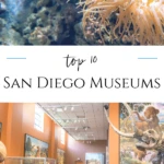 San Diego museums cater to artists, archeologists, surfers, kids, photographers, and a variety of interests. An insider's list of the most visited.