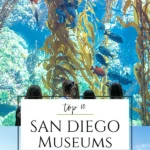 San Diego museums cater to artists, archeologists, surfers, kids, photographers, and a variety of interests. An insider's list of the most visited.