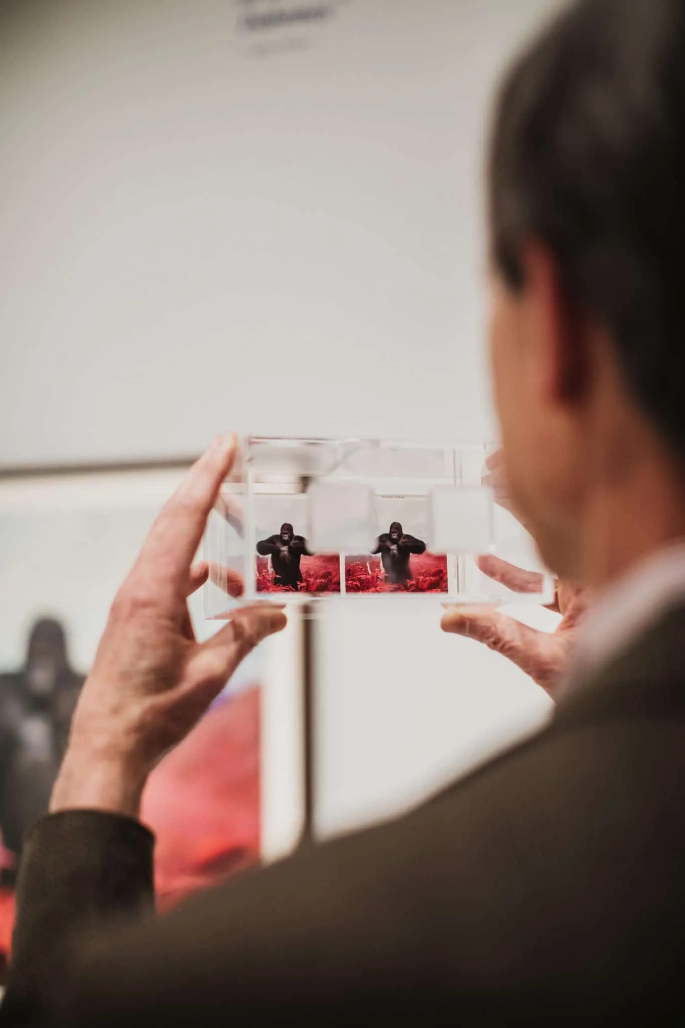 A man looks at a photo inside the Museum of Photographic Arts