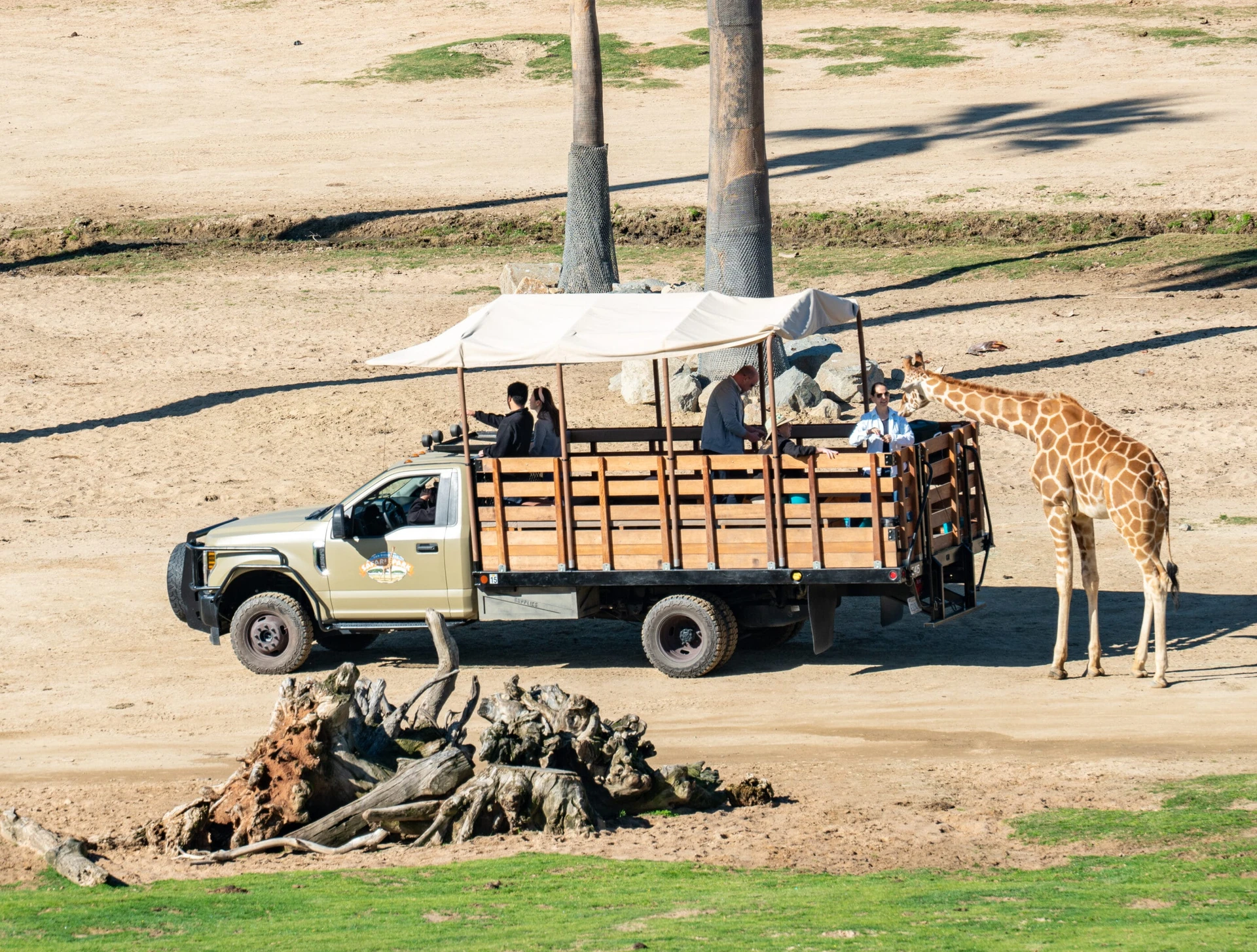 San Diego Zoo Safari Park Caravan Safari