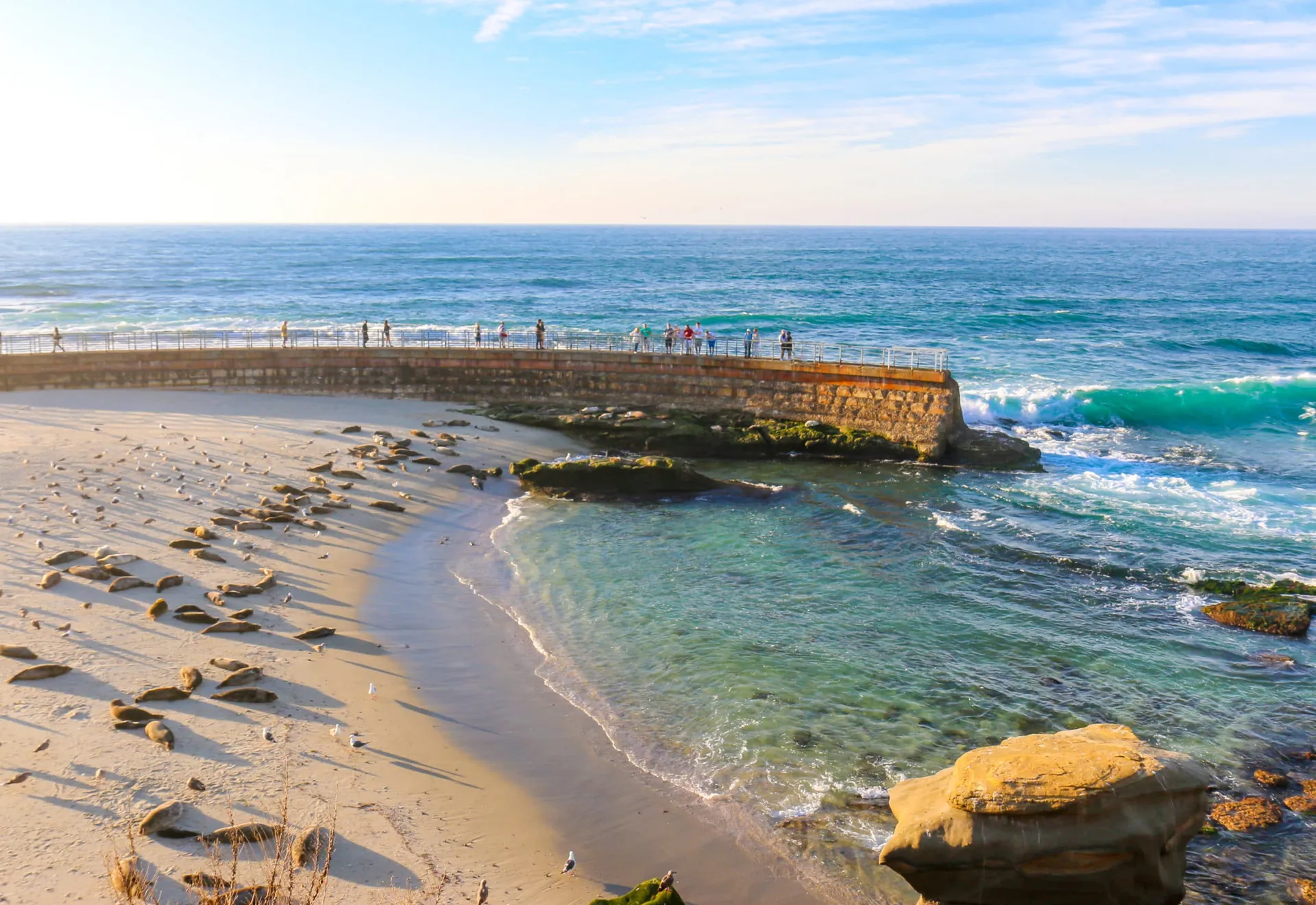 Children's Pool seals rest on the sand at Golden Hour, one of the most fun and free things to do in San Diego with kids.