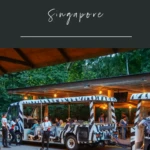 Tips for getting the most out of your visit to the Night Safari in Singapore, especially if traveling with kids.