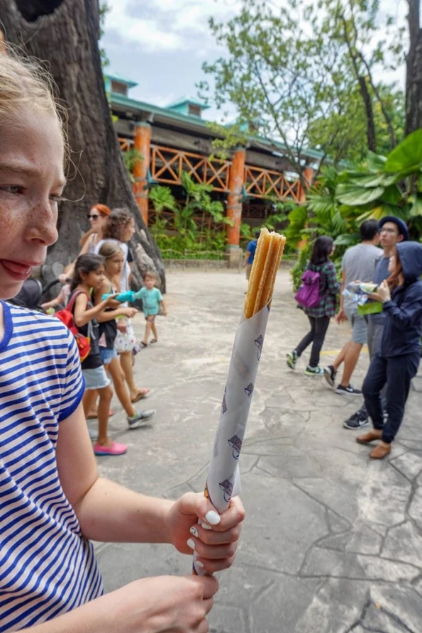 Universal Studios Singapore churro