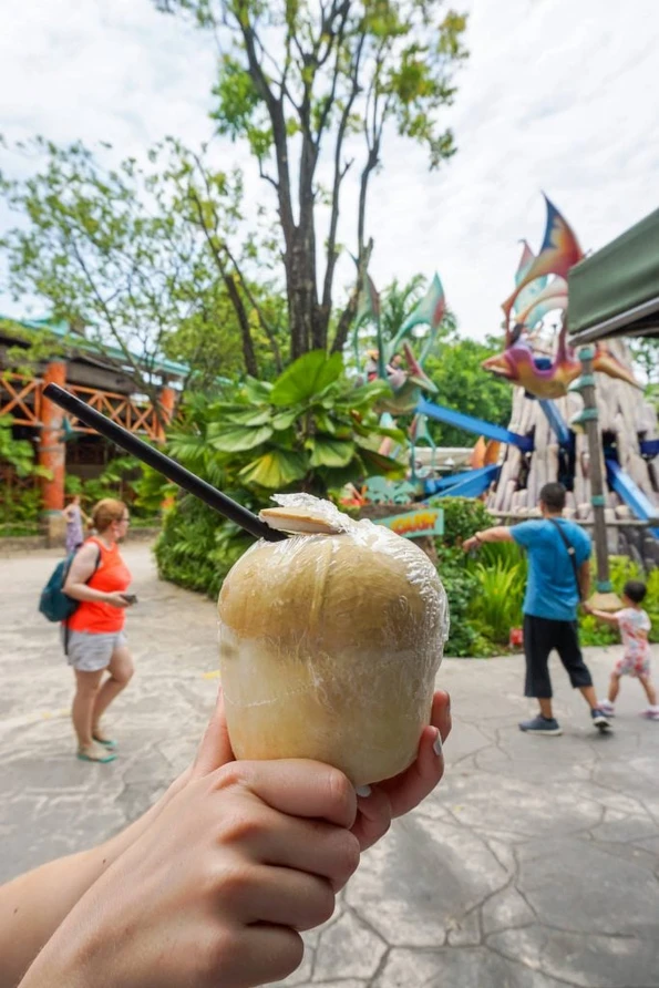 Universal Studios Singapore coconut water