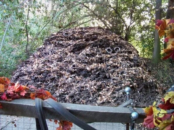 Hidden Mickeys Disneyland: Big Thunder Ranch