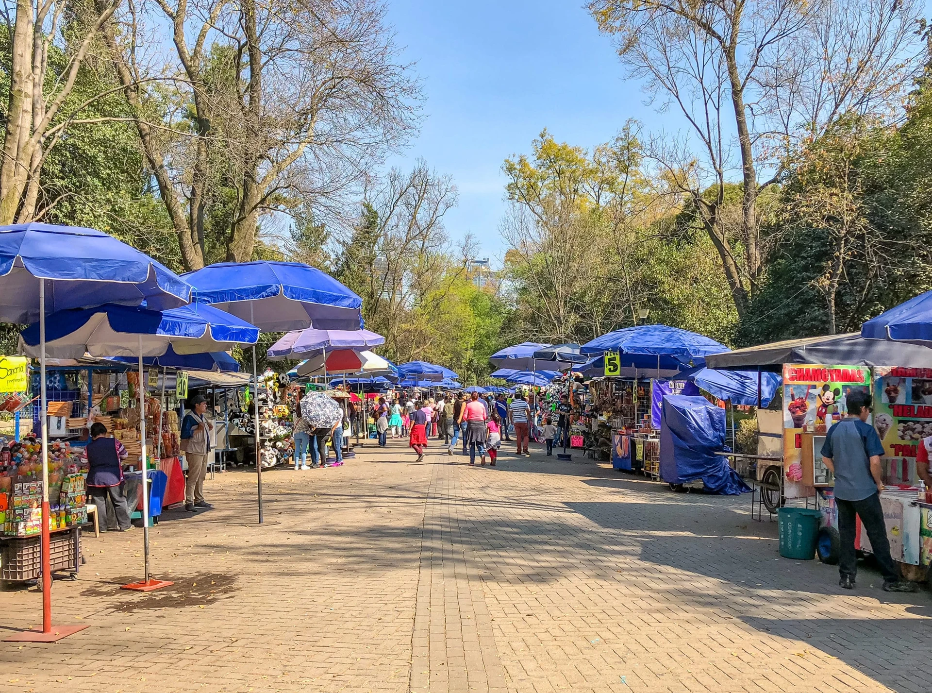 Chapultepec Park Mexico City