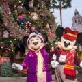 What's happening during the 2019 Disneyland Resort holiday season including this year's cool desserts, new merchandise, special events, and more.