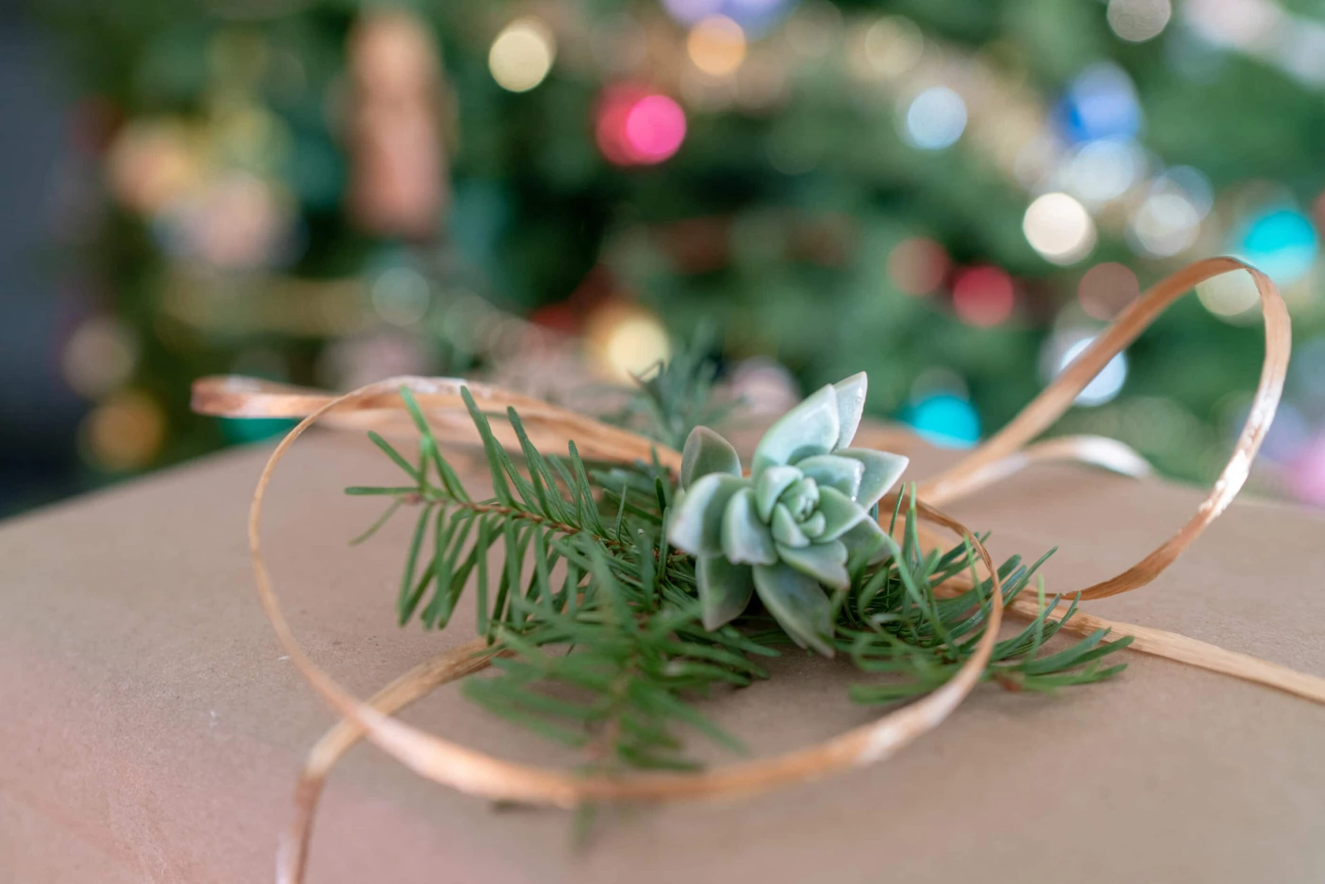 Eco-Friendly Holidays